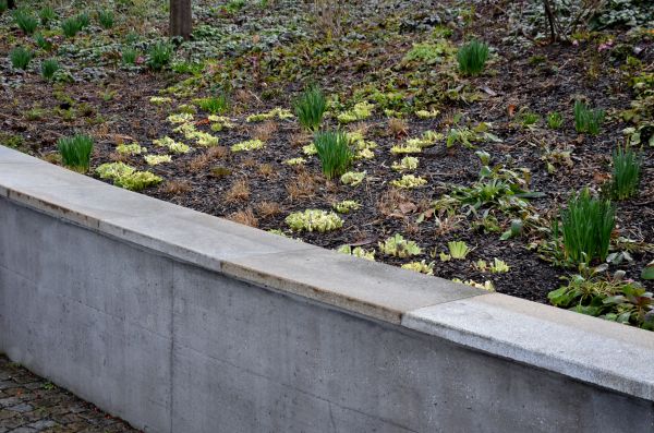 Concrete Wall Construction in American Fork