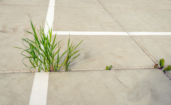 Concrete Parking Installation in American Fork